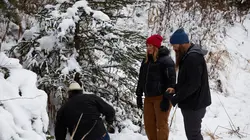 Habitations en péril Maison amochée