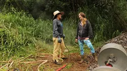 Habitations en péril Tonnerre sous les tropiques