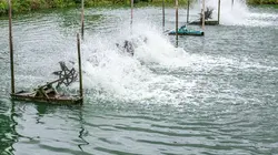 Habitations en péril L'énergie c'est de l'or