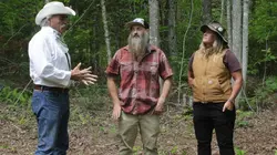 Habitations en péril Marécages en folie