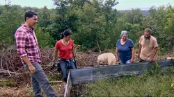 Habitations en péril Espoir à Smoky Mountain