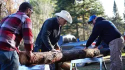 Habitations en péril L'antre de l'ours en streaming