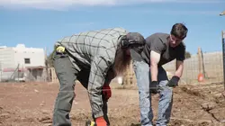 Habitations en péril Ours y es-tu ?