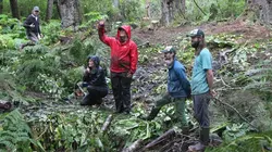 Habitations en péril Tonnerre sous les tropiques