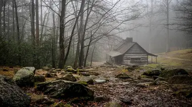 Habitations en péril E02 Une nature sauvage