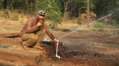 Habitations en péril Le feu et la fureur