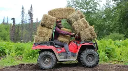 Habitations en péril : le ranch des Raney  Ravitaillement aérien