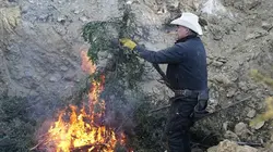 Habitations en péril : le ranch des Raney Chercheurs d'or