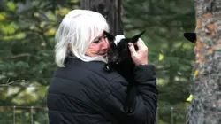 Habitations en péril : le ranch des Raney En route pour le paradis