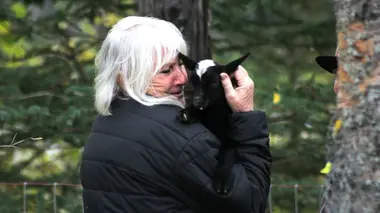 En route pour le paradis