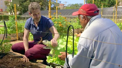Habiter le monde Cuba, La Havane, ville-potager