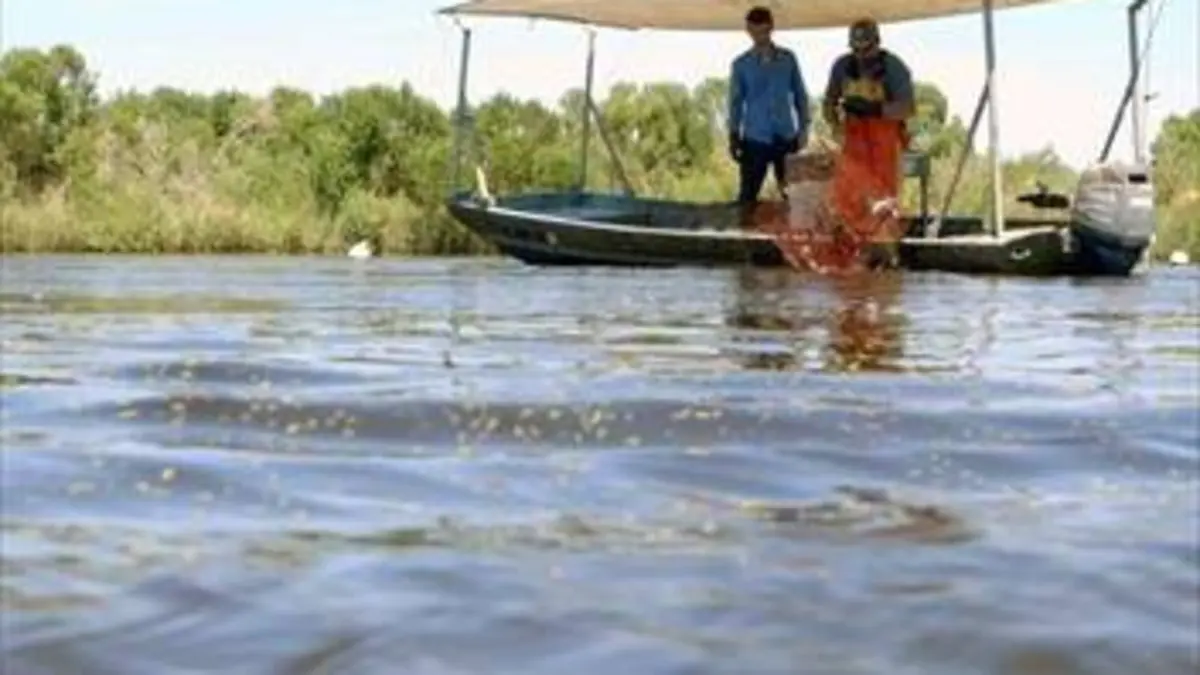 Habiter le monde S01E16 Louisiane : bayous, un paradis perdu