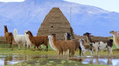 Bolivie, les Chipayas