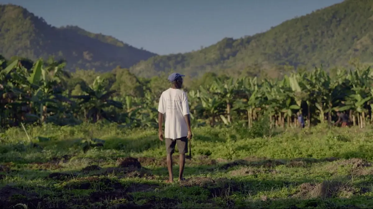 Haïti, la rançon de l'indépendance