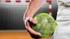Handball : Championnat d'Europe féminin Euro féminin 2018