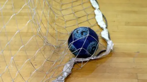 Handball Golden League 2013/2014