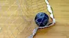 Handball Match de préparation au championnat du monde 2019
