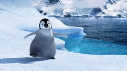 Happy Feet