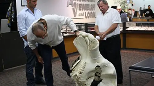 Hardcore Money S02E05 Crânes et canailles