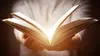 Hare Krishna : Gourous, Karma et Crimes