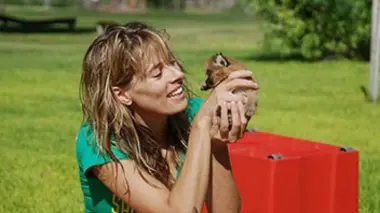 Harnas, un refuge pour la faune