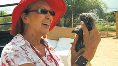 Harnas, un refuge pour la faune