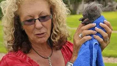 Harnas, un refuge pour la faune