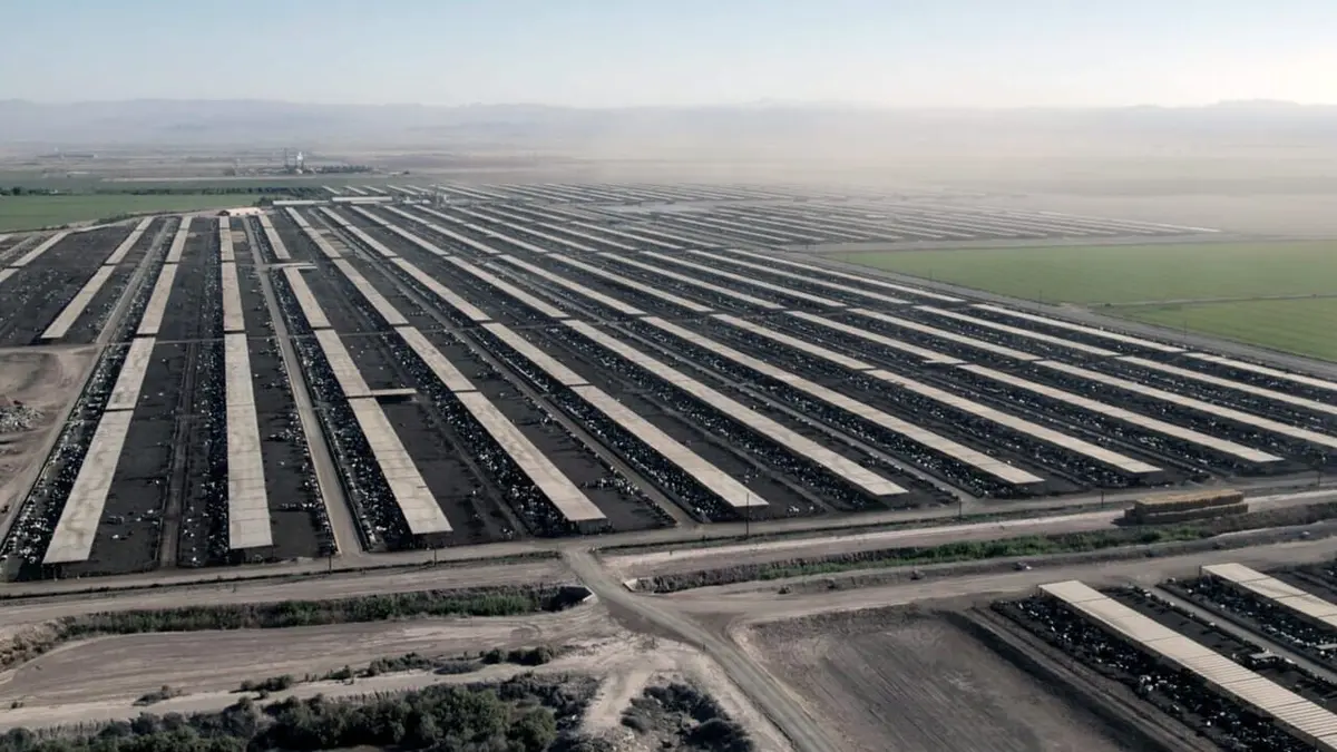 Audiences TV : Haro sur l'eau ! : Les fleuves en détresse