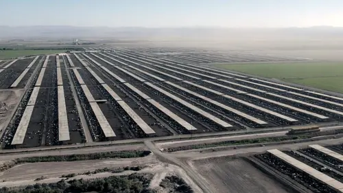 Haro sur l'eau ! : Les fleuves en détresse