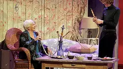 Visuel de Harold et Maude