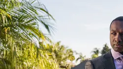 Visuel de Harry Bosch