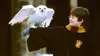 Ronald Weasley dans Harry Potter à l'école des sorciers (2001)
