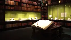 Harry Potter : aux origines de la magie