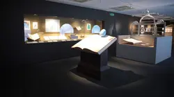 Harry Potter : aux origines de la magie