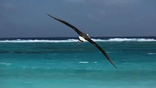 Hawai, archipel sauvage