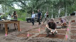 Visuel de Hawaii 5-0