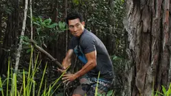 Visuel de Hawaii 5-0