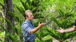 Hawaii 5-0 S05E09 Ke Koho Mamao Aku