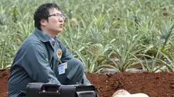 Hawaii 5-0 S02E20 Ha'alele