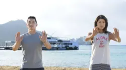 Hawaii 5-0 S07E03 He Moho Hou