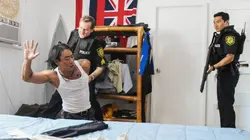 Hawaii 5-0 S04E13 Hana Lokomaika'i