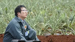 Hawaii 5-0 S02E08 Lapa'au