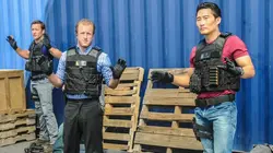 Hawaii 5-0 S03E19 Hoa Pili