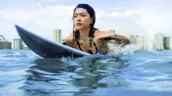 Hawaii 5-0 S05E03 La Dernière Pause