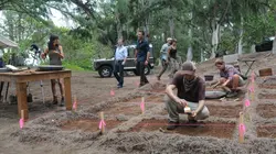 Hawaii 5-0 S06E01 Mai ho'oni I ka wai lana malie