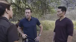 Hawaii 5-0 S07E15 Ka Pa'ani Nui