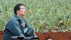 Hawaii 5-0 S02E08 Lapa'au en streaming