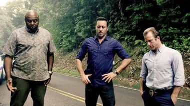 Hawaii 5-0 S05E24 Luapo'i
