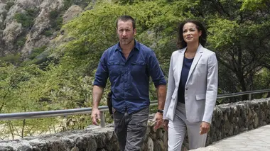 Hawaii 5-0 S09E01 Cocon