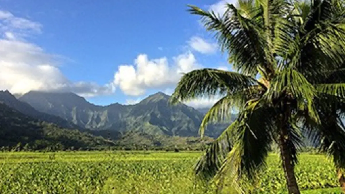 Hawaii, retour aux sources